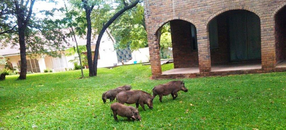 The View Lodge Victoria Falls Exterior foto
